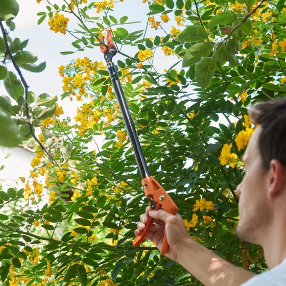 Tuinschaar met lange steel 'Titanium'
