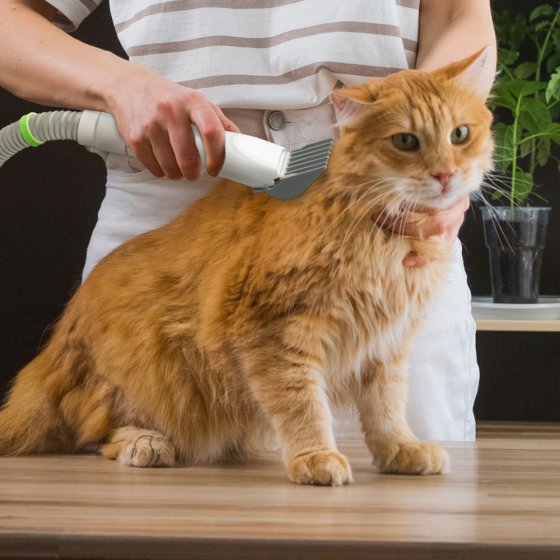 Verzorgingsset voor huisdieren