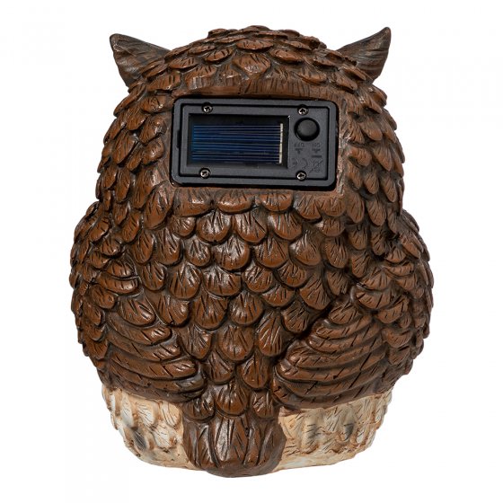 Solar-uil met oogbeweging 