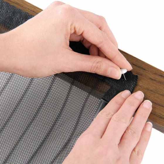 Insectenhor met magneetsluiting, zwart 