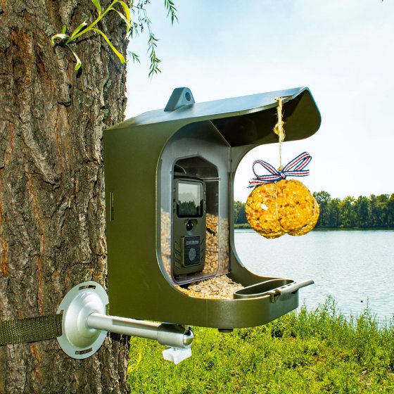 Vogelobservatiecamera met voederstation 