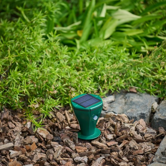 Zonne-energie afweermiddel tegen woelmuizen 